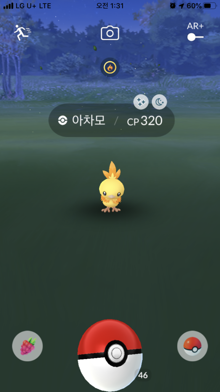  아차모 이로치