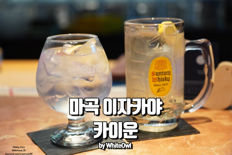  마곡 이자카야 카이운 맛도 분위기도 완벽해