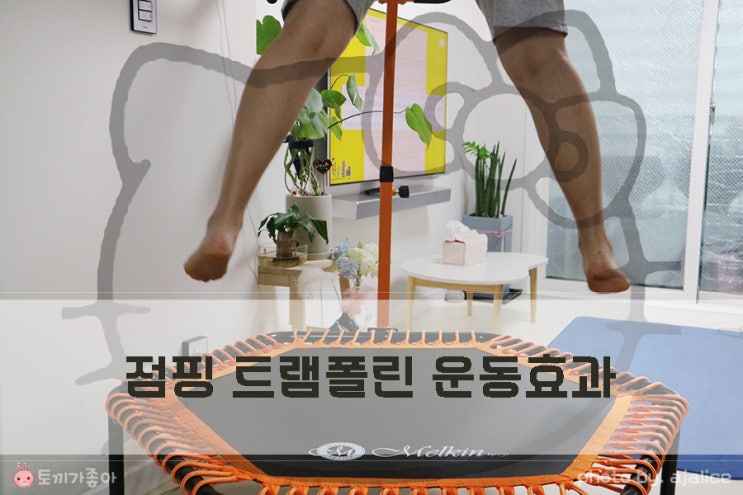 점핑 트램폴린 다이어트 운동효과 있을까 점핑 트램폴린 다이어트 운동효과 있을까