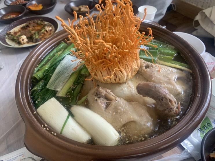  [성남맛집] 동충하초 닭백숙이 유명한 동의궁에 다녀왔어요