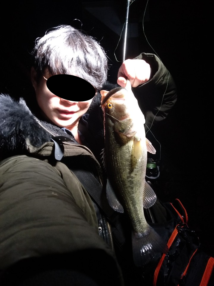  봄 배스를 잡아야 하는 이유, 장비리뷰