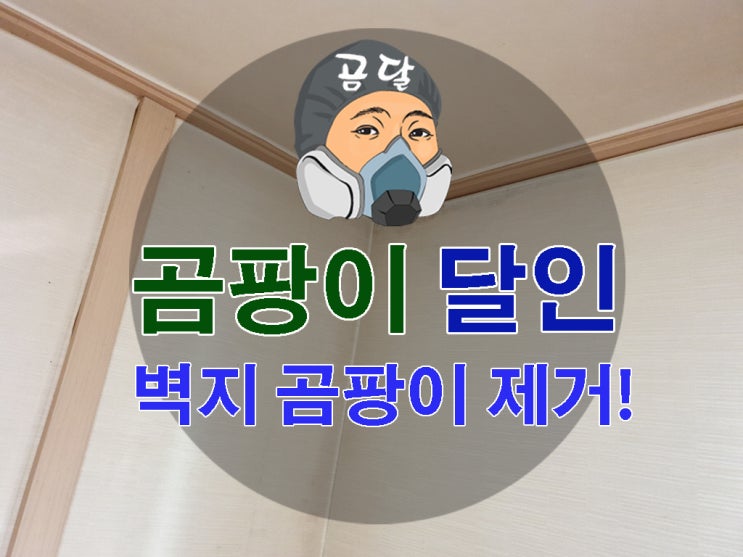  벽지 곰팡이제거 단열벽지로 해결!