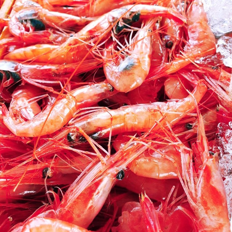 백두대간농수산 강원 동해 싱싱한 자연산 홍새우 1kg 60-65미 단새우 아마에비, 1개 추천해요 백두대간농수산 강원 동해 싱싱한 자연산 홍새우 1kg 60-65미 단새우 아마에비, 1개 추천해요