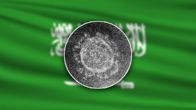 석유재벌]사우디아라비아 코로나19발생 344명