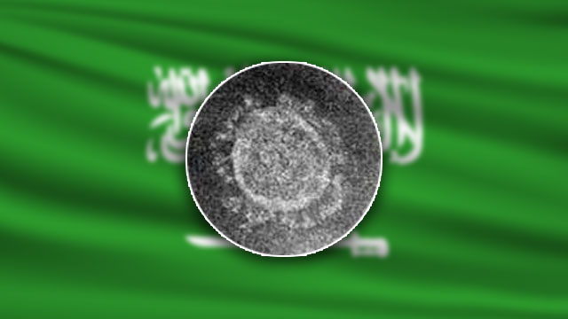  석유재벌]사우디아라비아 코로나19발생 344명