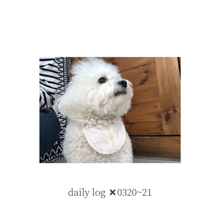 [daily log] 0320~21