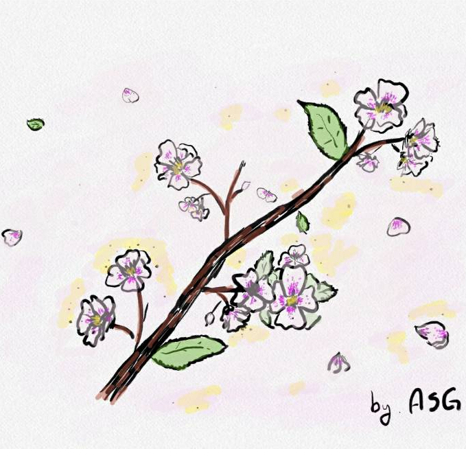 [1일1그림] 벚꽃
