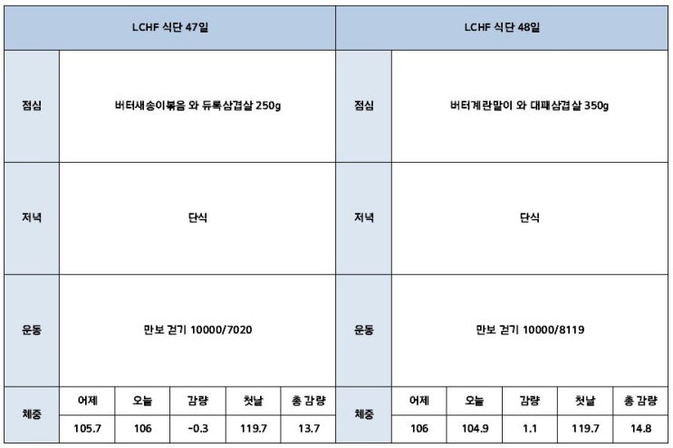  키토 저탄고지 lchf 47&48일차 (-14.8kg)
