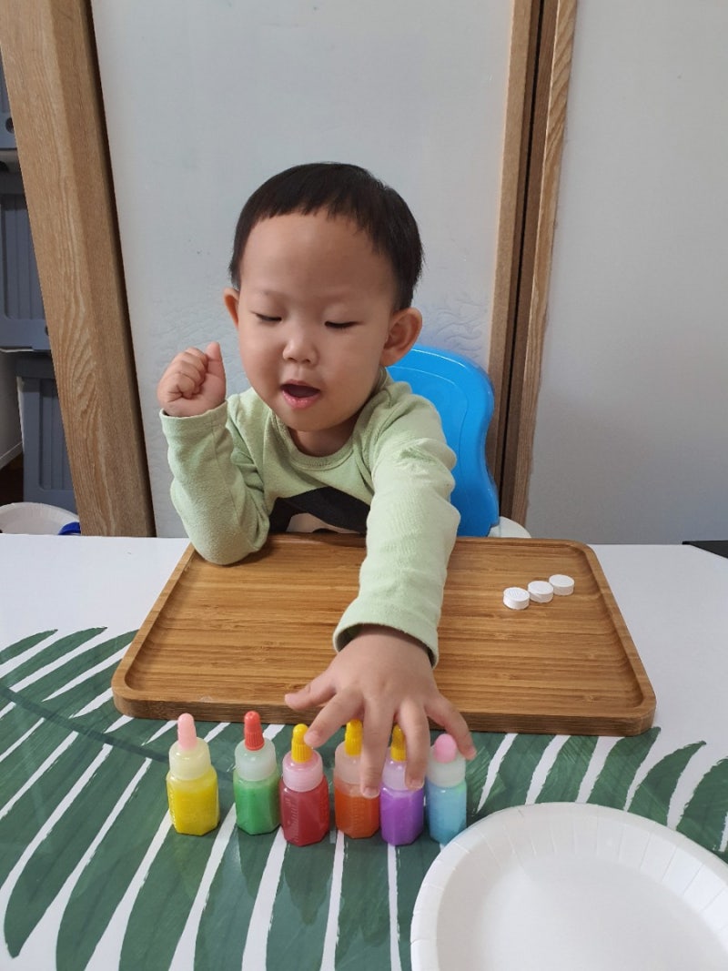 봄 미술활동 코인티슈 나비의 성장과정 만들기 : 네이버 블로그