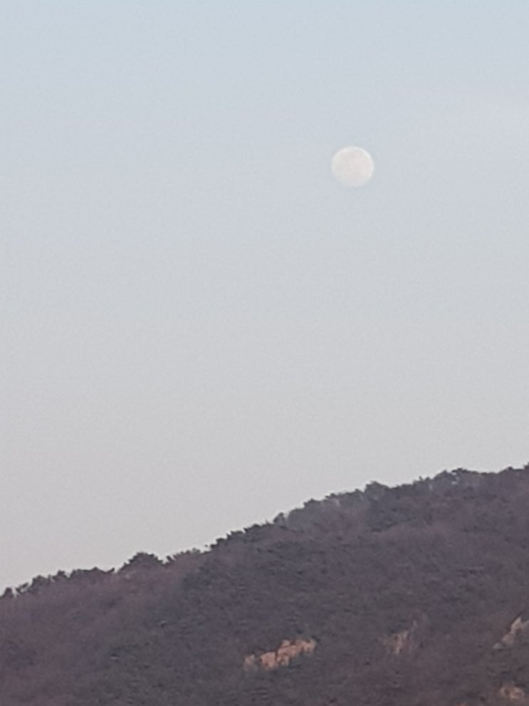  성질급한 달님, 뭐가 그리급해?