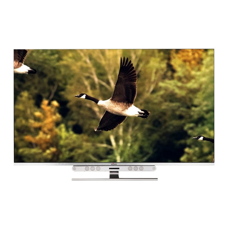   오늘의 특가 세종텔레콤 UHD 138.8cm 울트라슈퍼슬림 엑스 TV 자가설치, SEJONG-5500, 스탠드형