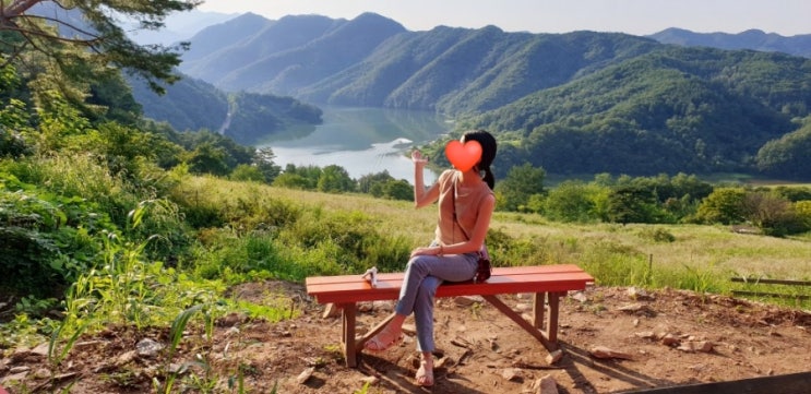  춘천 가볼만한곳 추천 한국의 스위스 해피초원목장(+산토리니카페)
