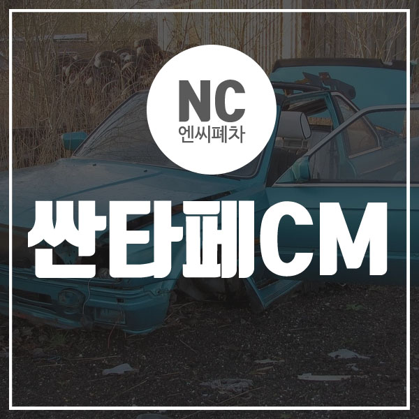  싼타페CM DPF 장착 조기폐차 무엇이 좋을까?