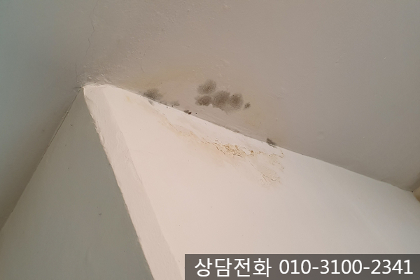  의정부 아파트 베란다 누수공사 보험처리-아담누수