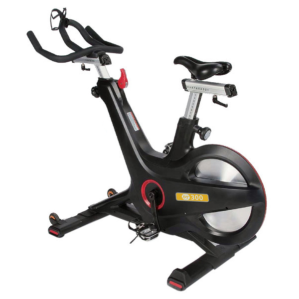 홈피트니스 :  헬스사이클 스피닝자전거 실내 스핀 싸이클 DY300 : 실내 헬스트레이닝, 다이어트