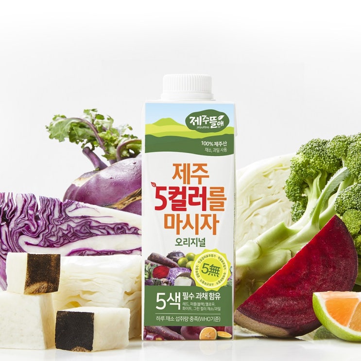 [제주뜰애] 제주 5컬러를 마시자 (건강음료 하루야채 WHO기준), 6개, 250ml 추천해요