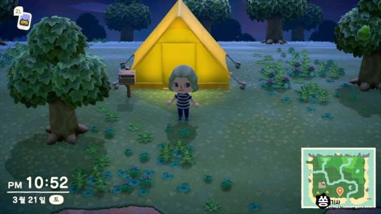  [스위치]모여봐요 동물의 숲 처음에는 무엇을 하나요?