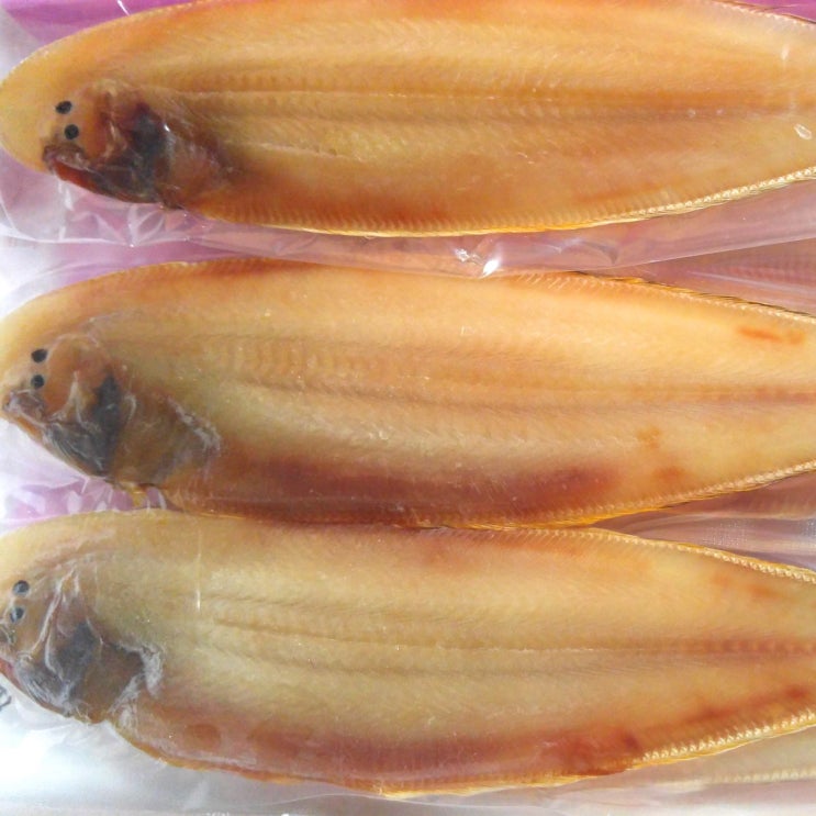 서대(박대)반건조 왕특대(38cm이상) 10마리 중량 3 200g이상 군산성진수산, 1박스, 38cm x 10미 추천해요 서대(박대)반건조 왕특대(38cm이상) 10마리 중량 3 200g이상 군산성진수산, 1박스, 38cm x 10미 추천해요