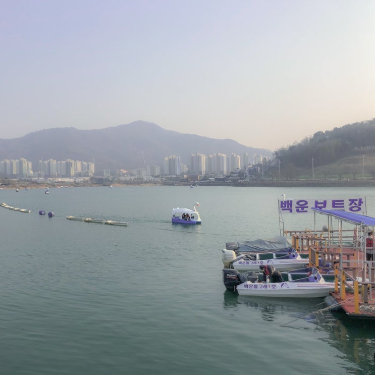  코로나 피해서 근교드라이브 안양 백운호수 산책하기