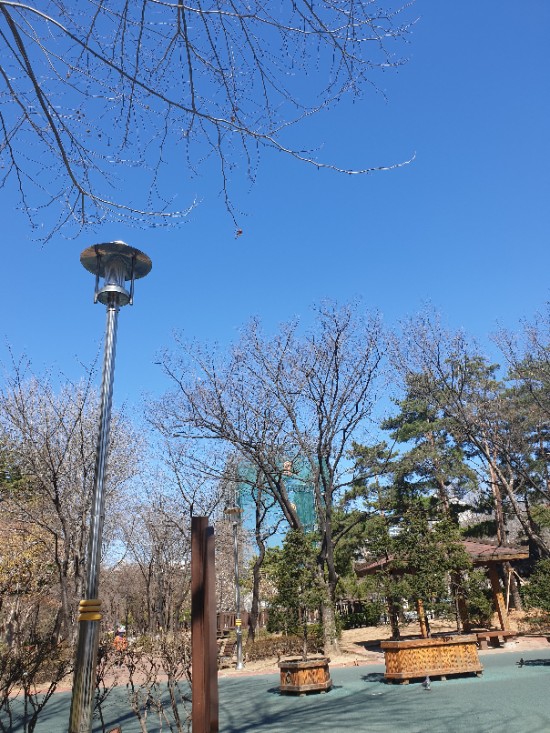  햇볕 받으며 퐁당 몽상