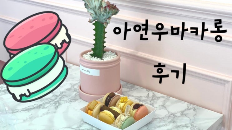  김해장유마카롱 젤 맛있는 아연우마카롱 갔다옴