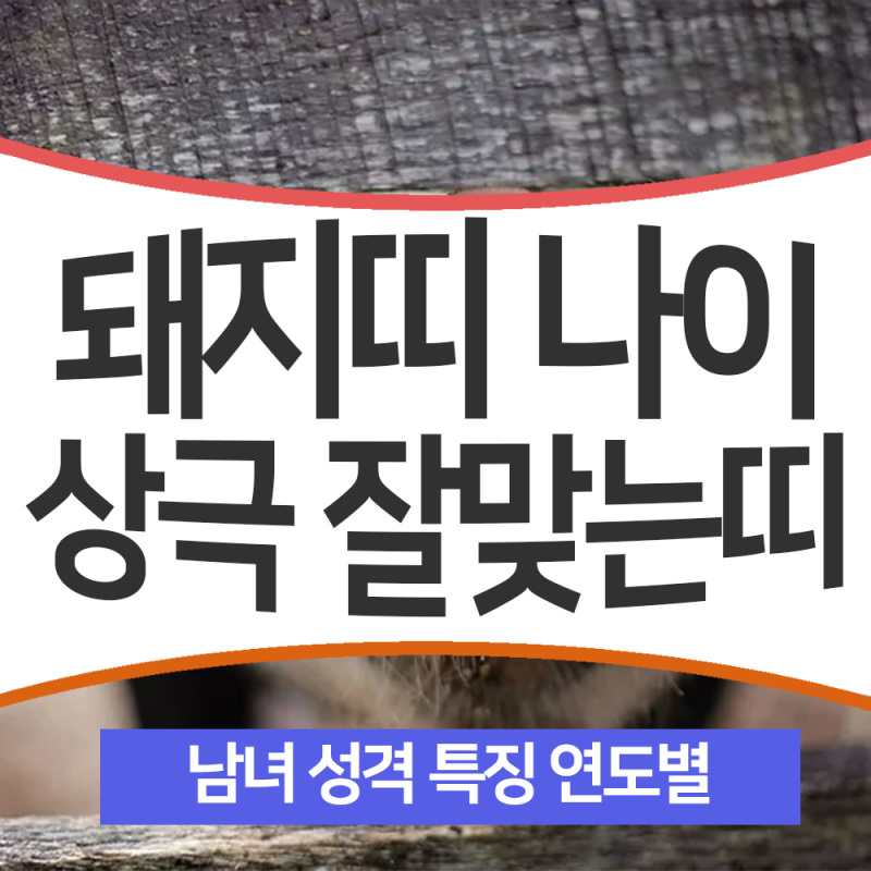 돼지띠 나이 돼지띠와 잘맞는띠 상극 궁합 95년 83년 71년 59년 남자 여자 성격은? : 네이버 블로그