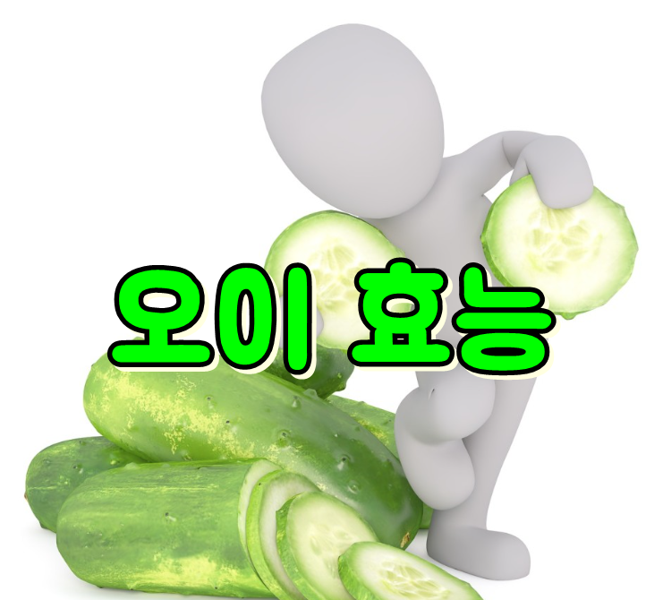  오이 꼭지/끝이 쓴이유, 노각 껍질 효능 및 부작용
