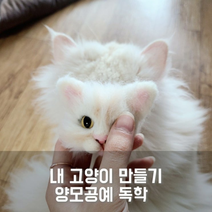  코로나 취미] 내 고양이 만들기_ 양모 공예 독학하기 팁_ 고양이 양모 반려묘 만들기