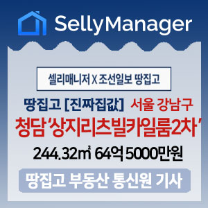  땅집고 [진짜 집값] 서울 강남구 청담동 ‘상지리츠빌카일룸2차’ 전용면적 244.32 최고가 64억5000만원