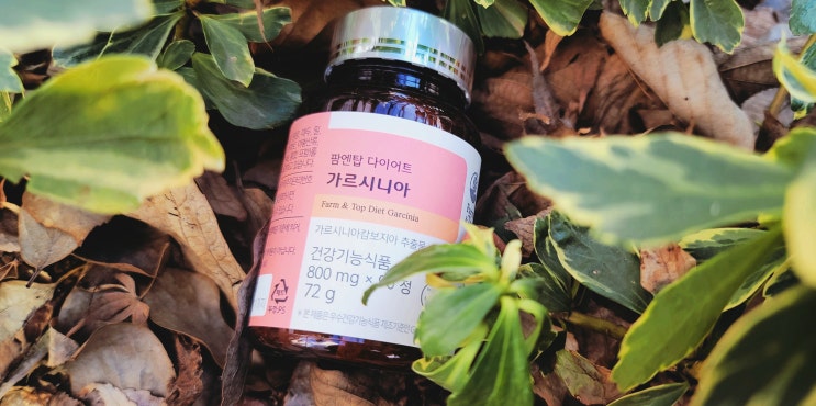  효과빠른 다이어트 보조제 팜엔탑 다이어트 가르시니아 후기