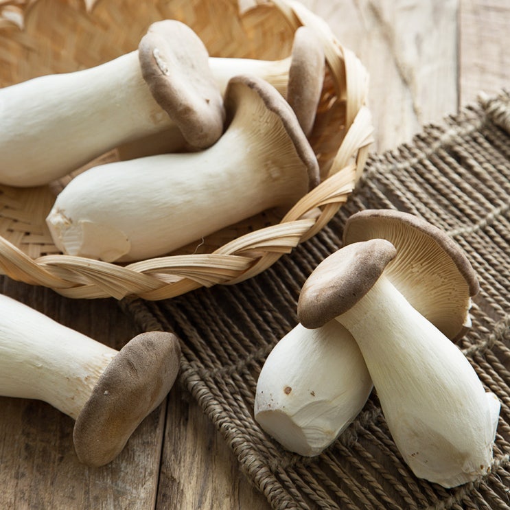 (로켓배송)뿌리 손질된 친환경인증 새송이버섯, 600g, 1팩 추천해요 (로켓배송)뿌리 손질된 친환경인증 새송이버섯, 600g, 1팩 추천해요