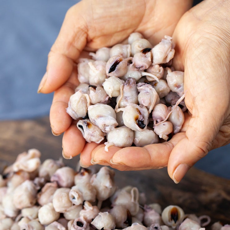 하나수산 국내산 반건조 미니오징어입 500g, 1팩, 조미안된오징어입(500g)30%건조 추천해요