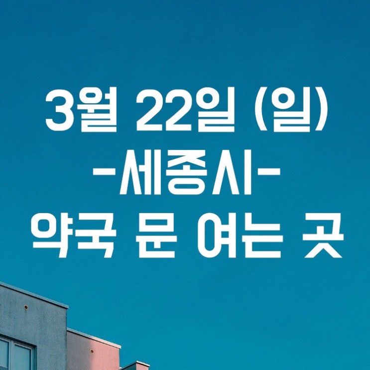 세종시 일요일 약국 문 여는곳