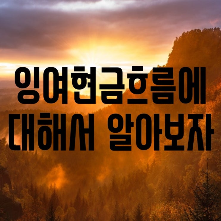  [주식 및 회계공부] fcf(잉여현금흐름) 및 Capex 현금흐름에 대해 공부해보자