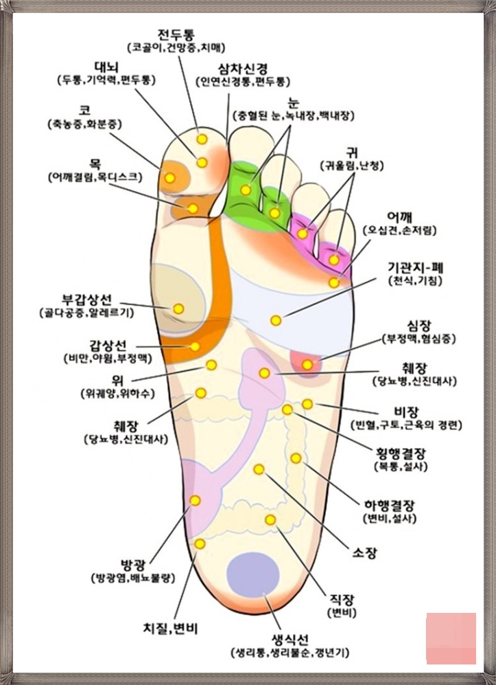  발마사지 로 건강관리 해봐요!! 집에서도 하기쉬워요
