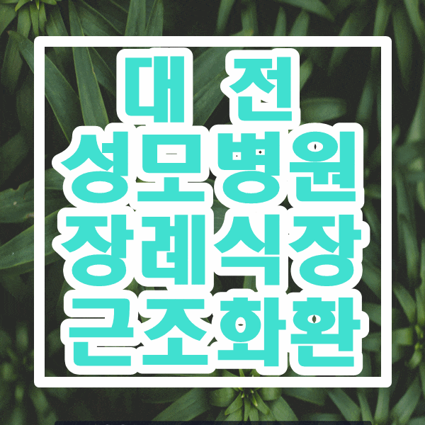  대전광역시 대전성모병원 장례식장 대전 꽃배달 근조화환 정성을 다해 제작해드립니다