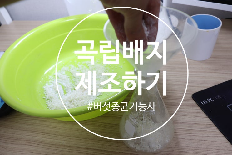  [버섯종균] 버섯종균기능사 실기 #3 곡립종균배지 제조 / 밀제조 / 탄산칼슘 / 황산칼슘 / 석고 / 탄산석회 / 사용법 알림