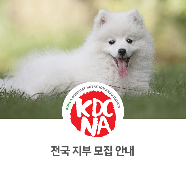  [한국반려동물영양협회] 전국 공식 지부 모집 안내