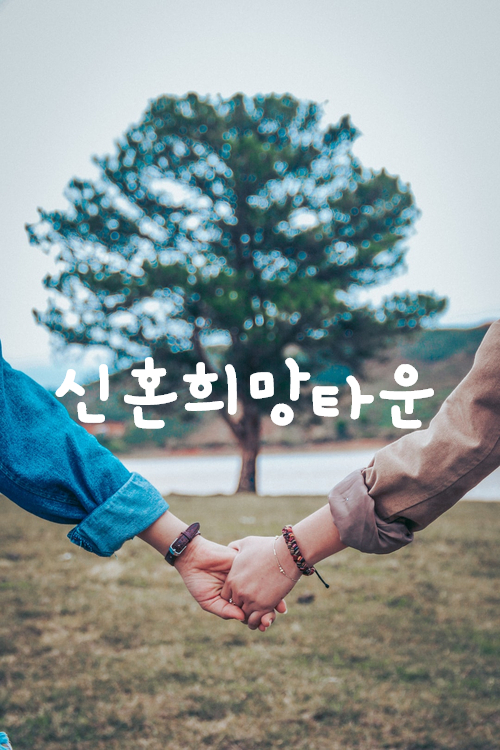 신혼희망타운 입주자격과 공급안내 신혼희망타운 입주자격과 공급안내