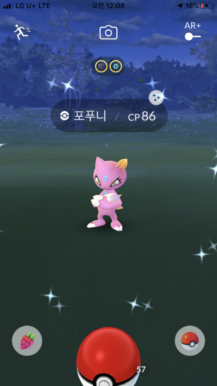  포푸니 이로치