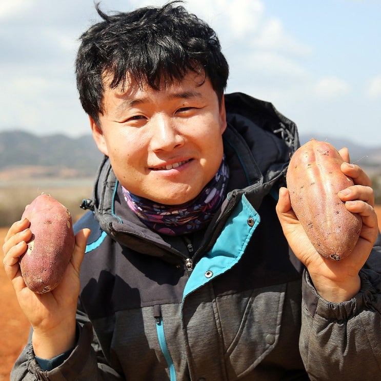 삿갓유통 꿀이 좔좔 잘생긴 해남 세척 꿀고구마, 1박스, 해남 꿀고구마 중 3kg 추천해요