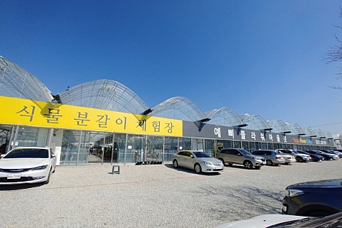 애플다육 이미지