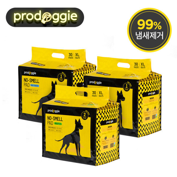  프로도기XL 특별전 안내