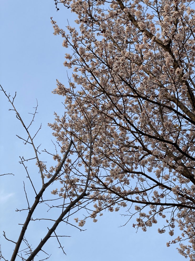  일상을 되찾고 싶은 일상