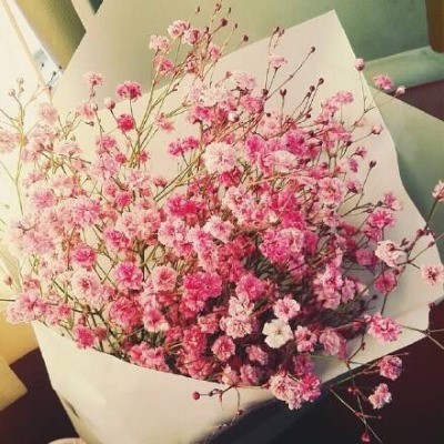  블로그 닉네임 변경 공지