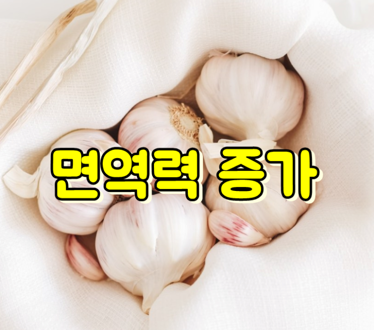  면역력이 저하되면 나타나는 증상, 후천/선천 면역 뜻