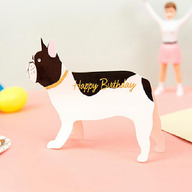 리암 강아지모양 생일축하카드-혼합색상 WD 카드 추천해요