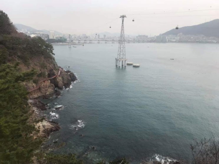  전화타로 인터넷사주 운세 신점 재회타로 연애상담 타로