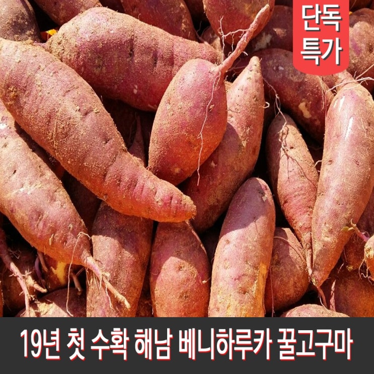  [슈퍼세일] 먹어봤니 땅끝 해남 베니하루카 꿀고구마 3일만 이가격 1박스 베니하루카 알뜰 한입 10kg 진솔한 후기를 보고 가세요~!