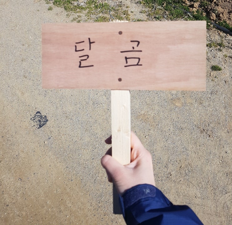  퇴비 거름 비료 뿌리는법 주말농장 1주차 (ft.비봉자연주말농장)